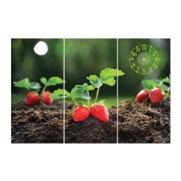 TRANH TRÁI CÂY TC14 3 TẤM