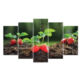 TRANH TRÁI CÂY TC14 5 TẤM